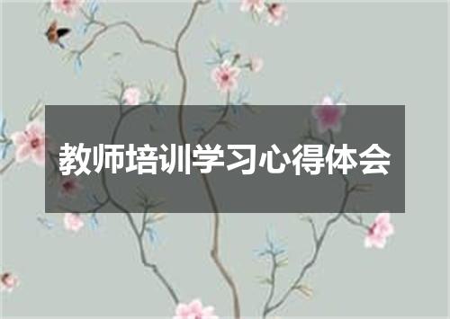 教师培训学习心得体会