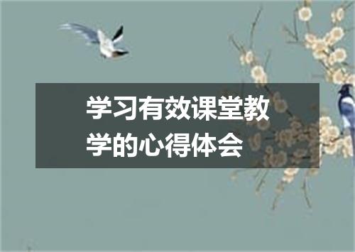 学习有效课堂教学的心得体会