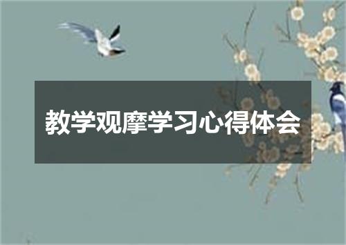 教学观摩学习心得体会