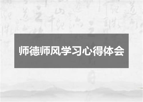 师德师风学习心得体会