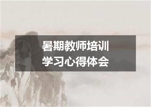 暑期教师培训学习心得体会