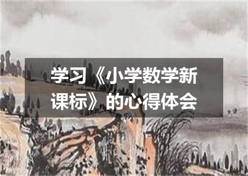 学习《小学数学新课标》的心得体会