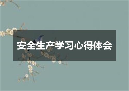 安全生产学习心得体会