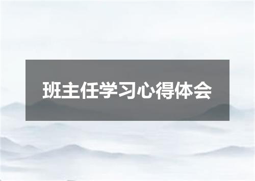 班主任学习心得体会