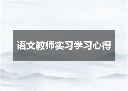 语文教师实习学习心得