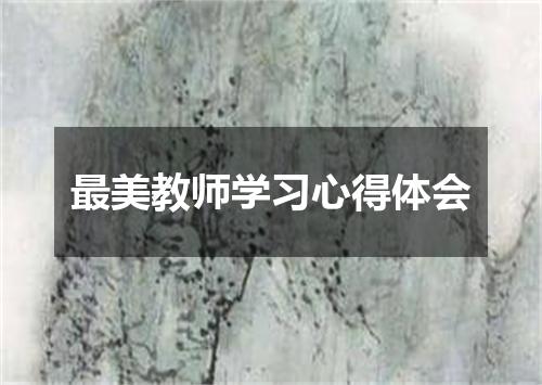 最美教师学习心得体会