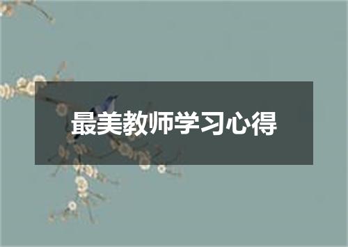 最美教师学习心得