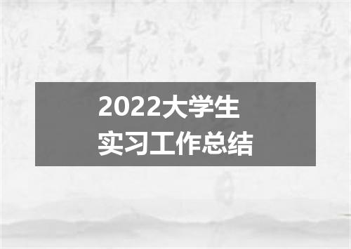 2022大学生实习工作总结