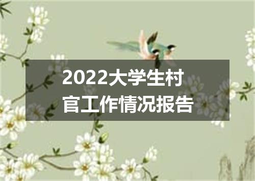 2022大学生村官工作情况报告