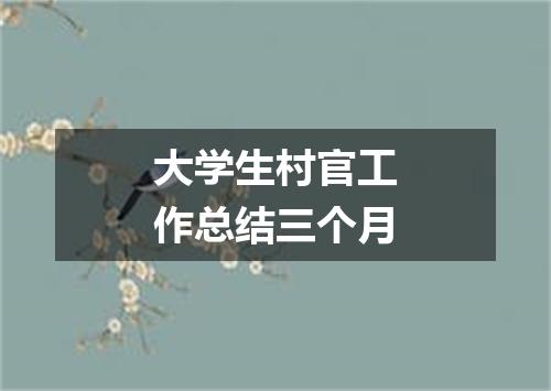大学生村官工作总结三个月