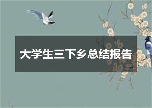 大学生三下乡总结报告