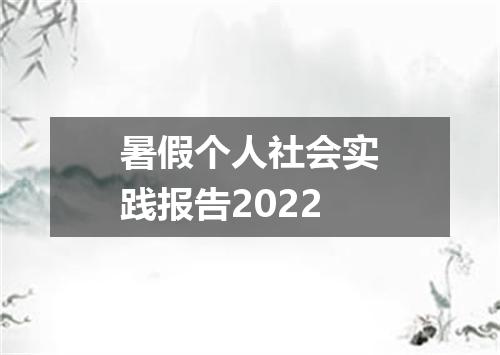 暑假个人社会实践报告2022