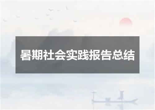 暑期社会实践报告总结