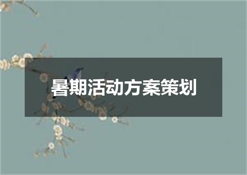 暑期活动方案策划