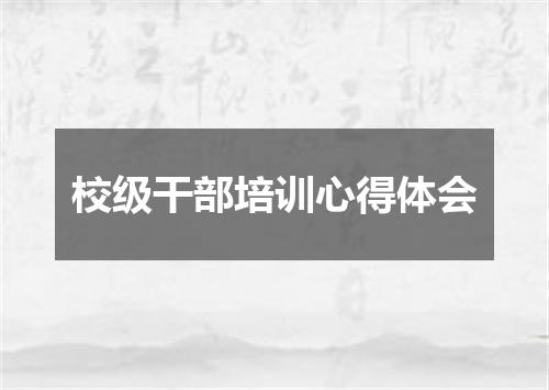 校级干部培训心得体会