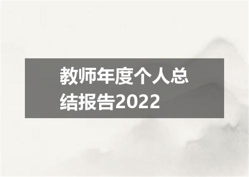 教师年度个人总结报告2022