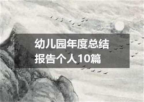 幼儿园年度总结报告个人10篇