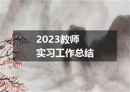 2023教师实习工作总结