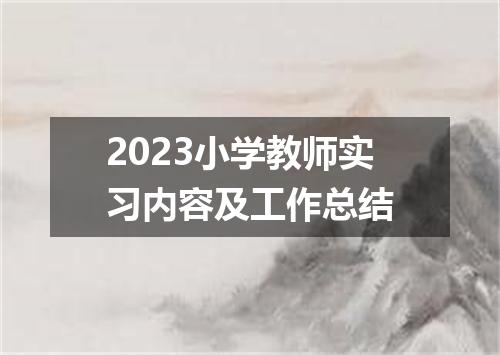 2023小学教师实习内容及工作总结