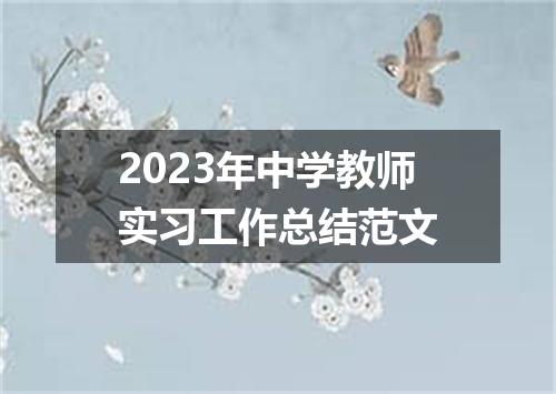 2023年中学教师实习工作总结范文