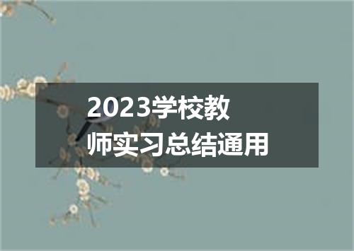 2023学校教师实习总结通用