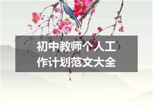 初中教师个人工作计划范文大全