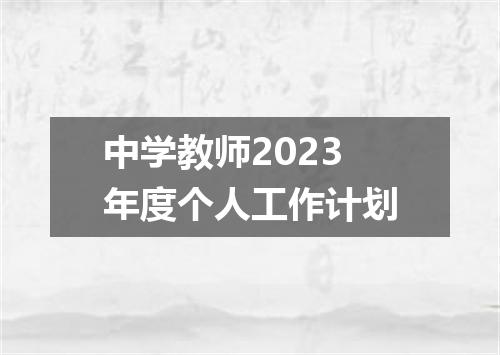 中学教师2023年度个人工作计划