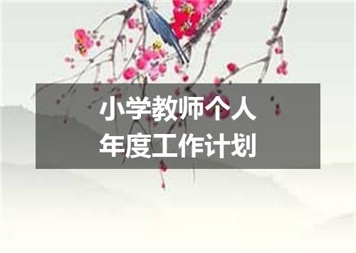 小学教师个人年度工作计划