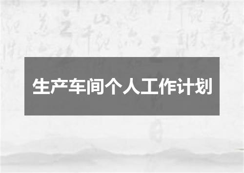 生产车间个人工作计划
