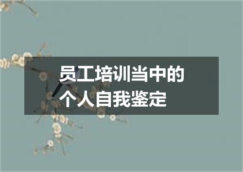 员工培训当中的个人自我鉴定