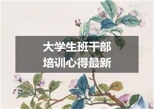 大学生班干部培训心得最新
