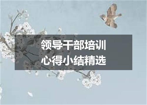 领导干部培训心得小结精选