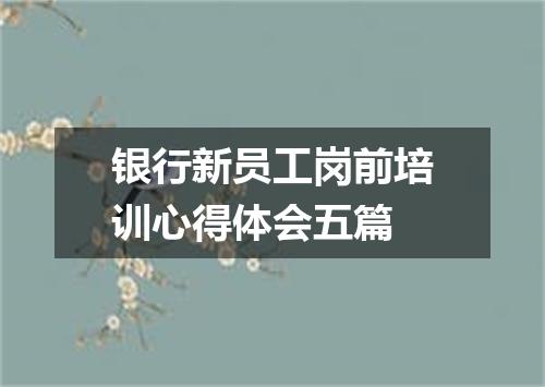 银行新员工岗前培训心得体会五篇