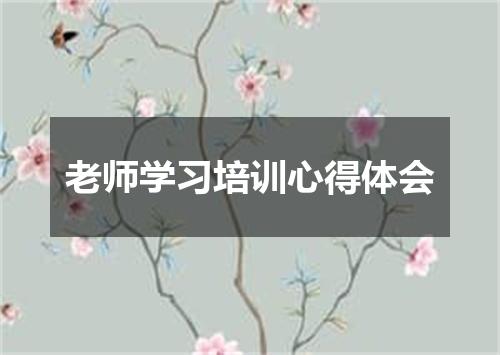 老师学习培训心得体会