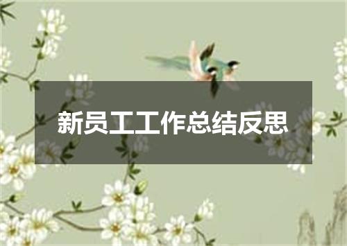 新员工工作总结反思