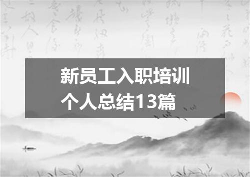 新员工入职培训个人总结13篇