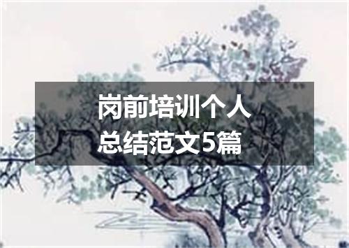 岗前培训个人总结范文5篇