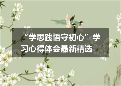 “学思践悟守初心”学习心得体会最新精选