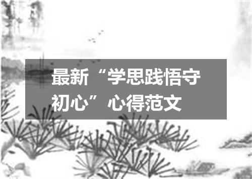 最新“学思践悟守初心”心得范文