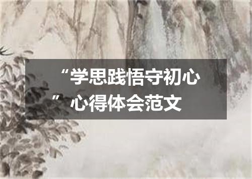 “学思践悟守初心”心得体会范文