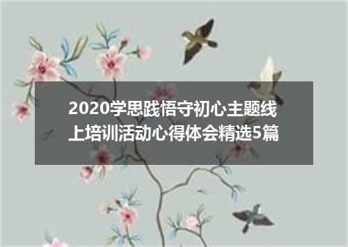 2020学思践悟守初心主题线上培训活动心得体会精选5篇