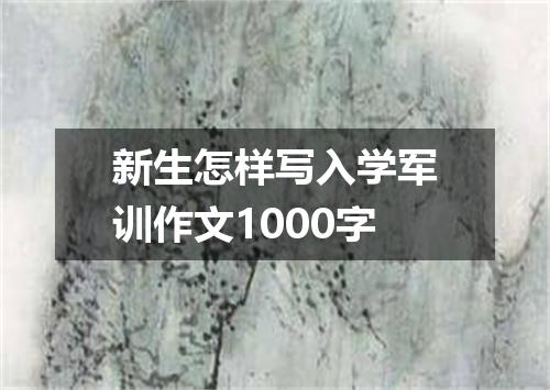 新生怎样写入学军训作文1000字