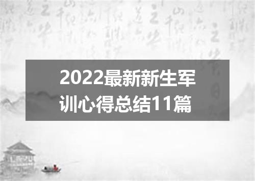 2022最新新生军训心得总结11篇