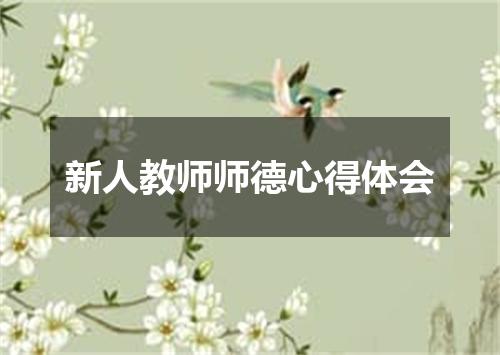 新人教师师德心得体会