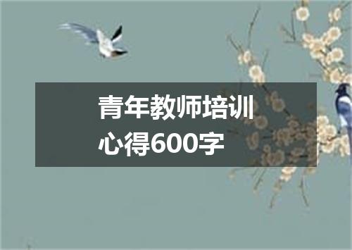 青年教师培训心得600字