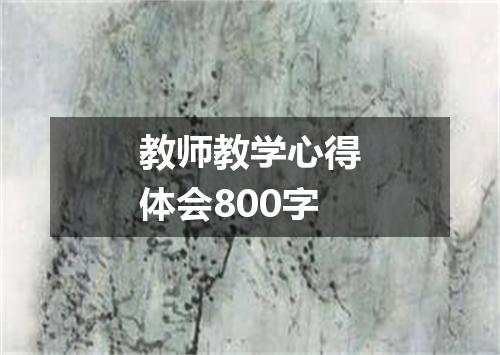 教师教学心得体会800字