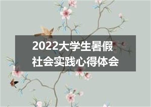 2022大学生暑假社会实践心得体会