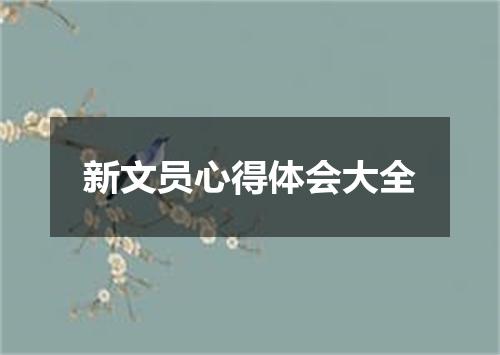 新文员心得体会大全