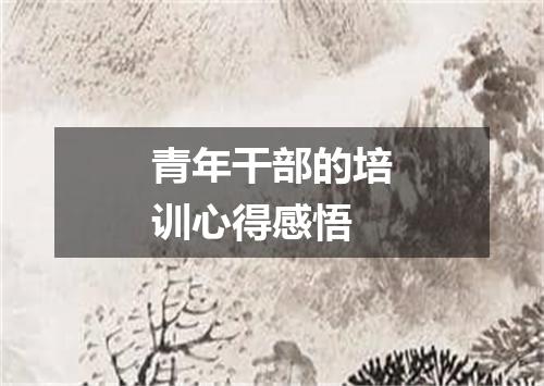 青年干部的培训心得感悟