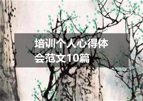 培训个人心得体会范文10篇